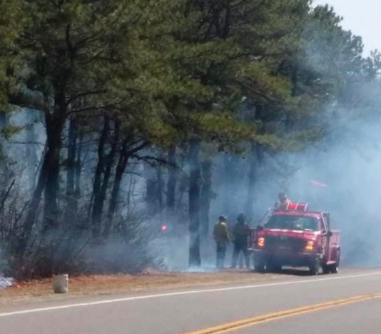 The state Forest Fire Service leads a controlled burn on Route 539 in Manchester over the weekend. (Photo: NJ Forest Fire Service)