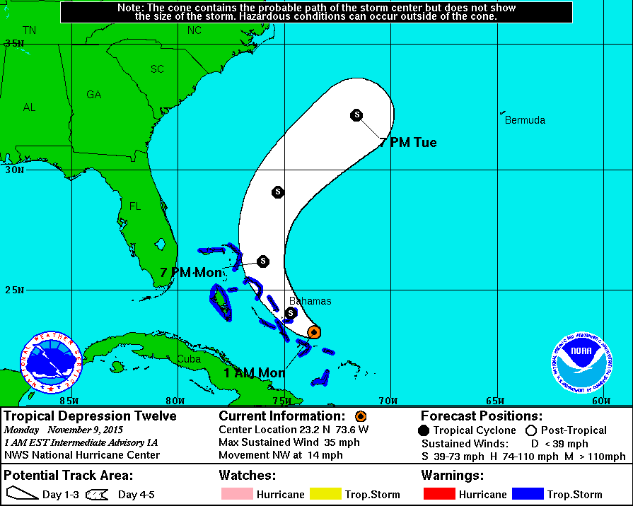 Tropical Depression 12 (Credit: NHC)