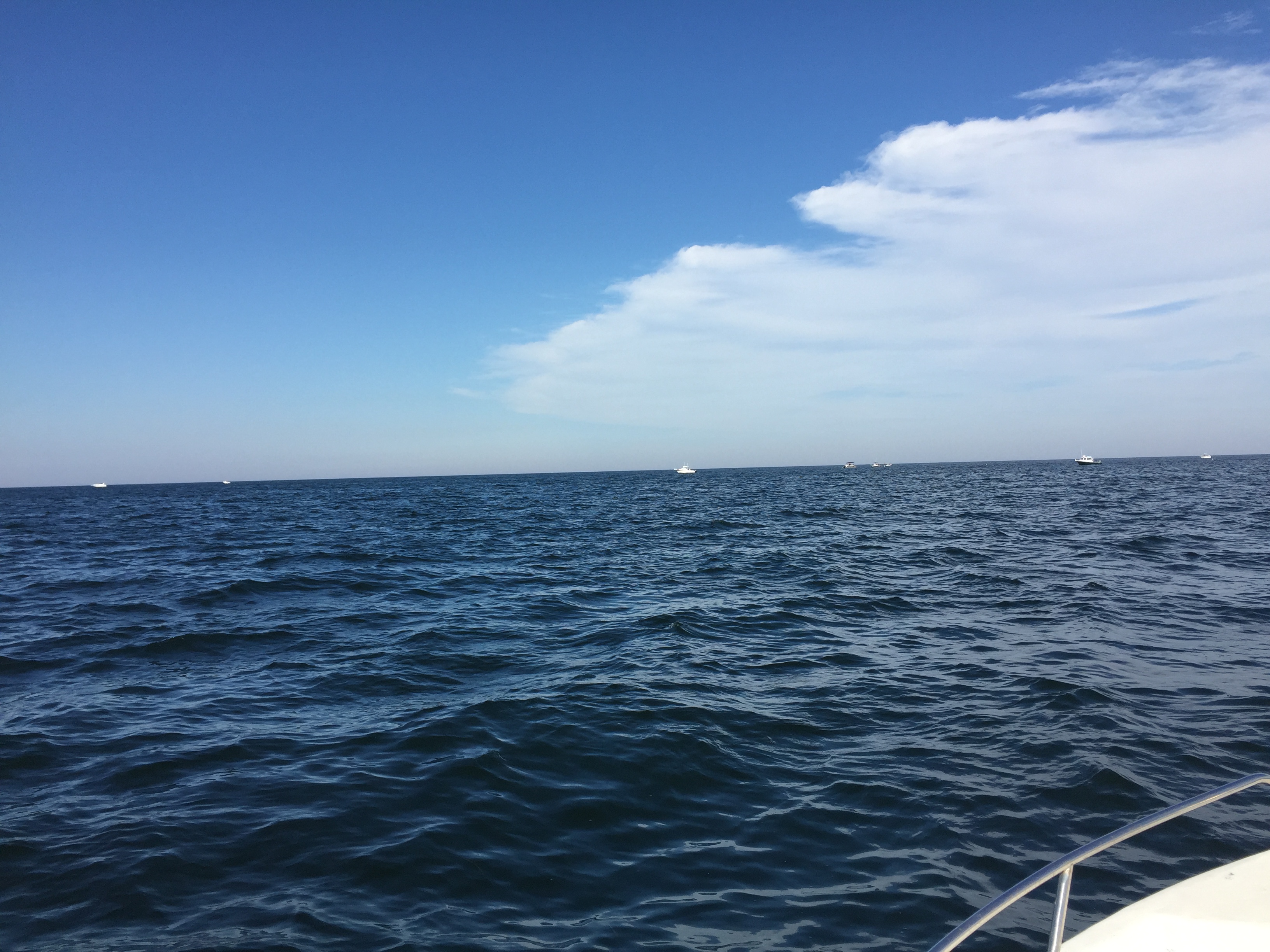 Fishing the Barnegat Light Reef, Aug. 2015. (Photo: Daniel Nee)