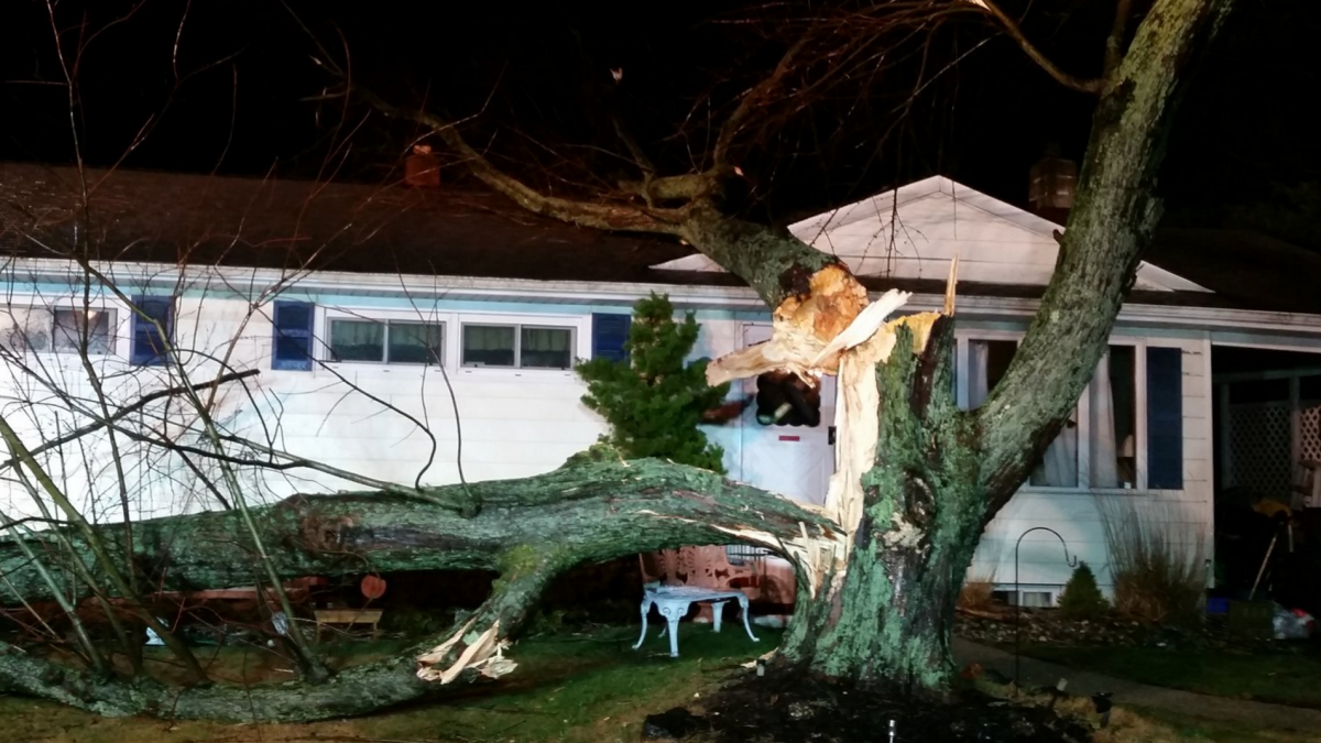 A tree that fell onto a house in Neptune Township. (Photo: Neptune Twp. Police)