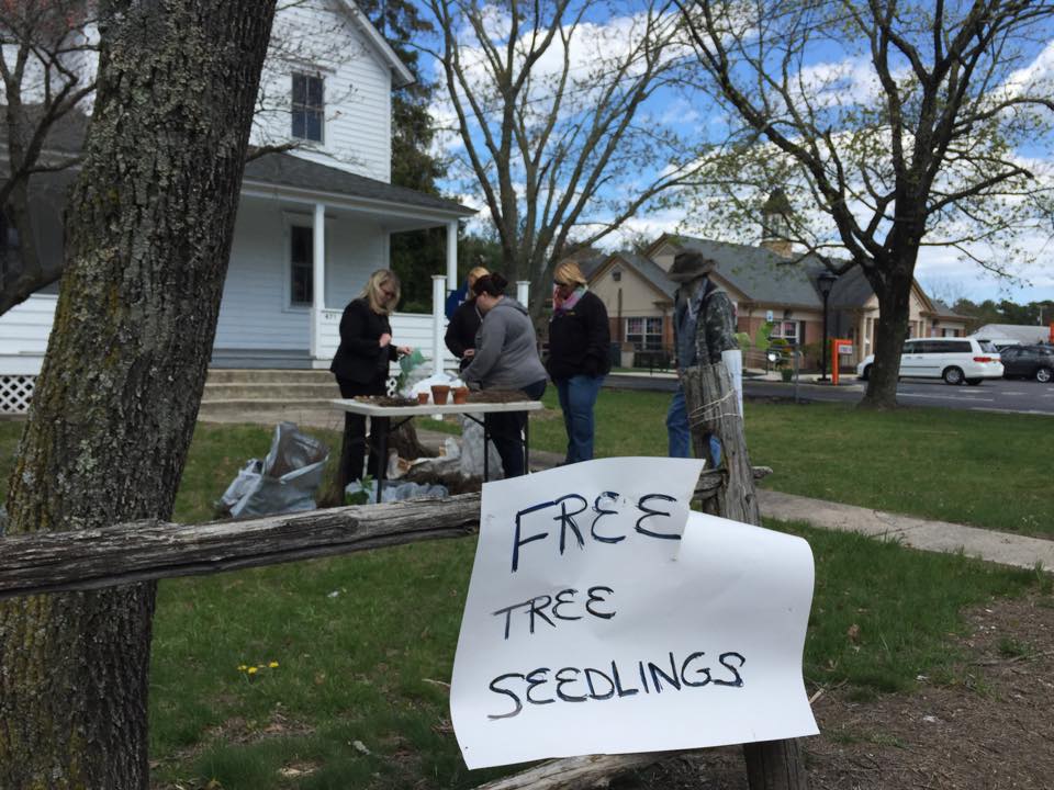 The 2015 tree seedling giveaway. (Photo: Daniel Nee)