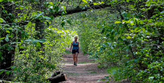 Ocean County Park (Photo: Ocean County)
