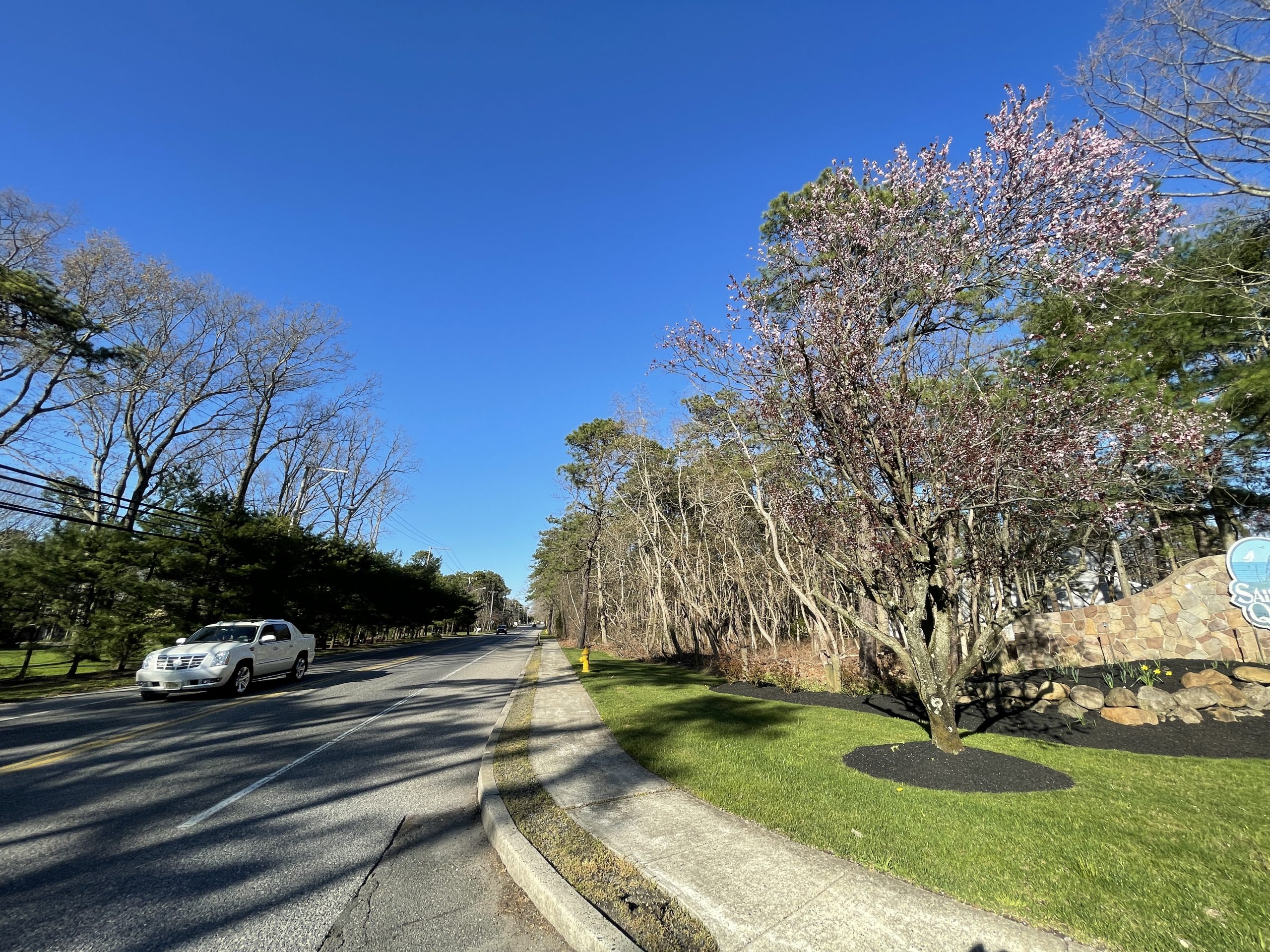 The planned site of the Osprey Pointe development along Old Hooper Avenue, Brick, N.J., April 2021. (Photo: Daniel Nee)