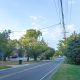 Herbertsville Road, Oct. 2021. (Photo: Daniel Nee)