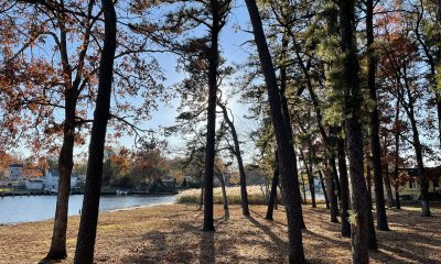 Cedar Bridge Manor Park, Nov. 2021. (Photo: Daniel Nee)