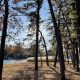 Cedar Bridge Manor Park, Nov. 2021. (Photo: Daniel Nee)