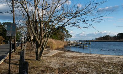 Mallard Point Park, Brick, N.J., Nov. 2021. (Photo: Daniel Nee)