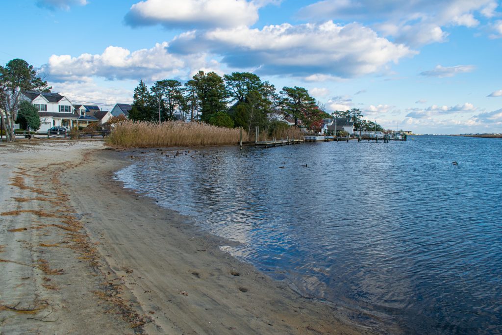 Mallard Point Park, Brick, N.J., Nov. 2021. (Photo: Daniel Nee)