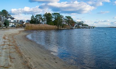 Mallard Point Park, Brick, N.J., Nov. 2021. (Photo: Daniel Nee)