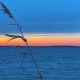 The Route 37 bridge shine at sunset on Barnegat Bay, Jan. 2022. (Photo: Daniel Nee)