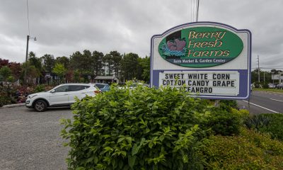 Berry Fresh Farms, Brick, N.J., May 2022. (Photo: Daniel Nee)