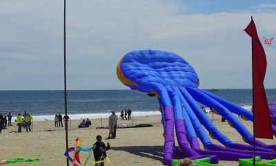 A kite festival presented by Sky Festival Productions. (Credit: Sky Festival Productions)
