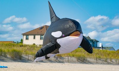 Brick Township's 2022 'Kite Fest' soars over Brick Beach III, Sept. 17, 2022. (Photo: Daniel Nee)