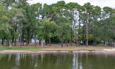 Cedar Bridge Manor Park, Sept. 2022, from the Metedeconk River. (Photo: Daniel Nee)