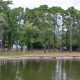 Cedar Bridge Manor Park, Sept. 2022, from the Metedeconk River. (Photo: Daniel Nee)