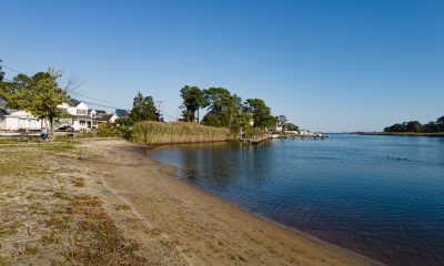 Mallard Point Park, Brick, N.J., Oct. 2022. (Photo: Daniel Nee)