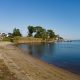 Mallard Point Park, Brick, N.J., Oct. 2022. (Photo: Daniel Nee)