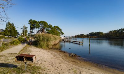 Mallard Point Park, Brick, N.J., Oct. 2022. (Photo: Daniel Nee)