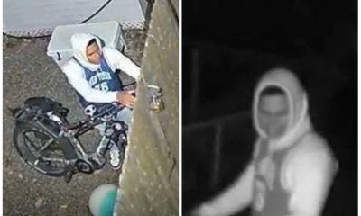 A man suspected of breaking into a shed and stealing an electric bicycle in Brick, N.J., Nov. 2022. (Credit: Brick Twp. Police)