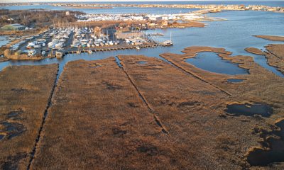 Salt marshes in Brick Township's portion of the Edwin B. Forsythe National Wildlife Refuge, Jan. 2023. (Photo: Daniel Nee)