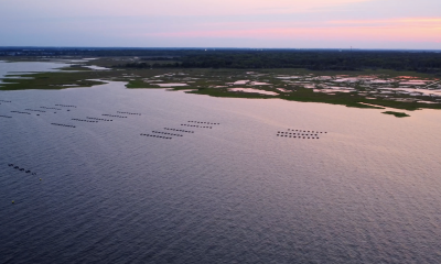 Sunset on Barnegat Bay near the Mantoloking Bridge, June 2023. (Photo: Shorebeat)
