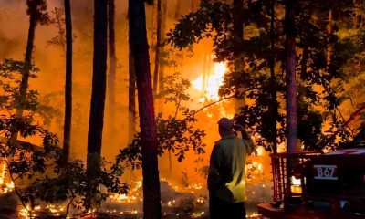 A wildfire in Jackson Township. (Photo: Screenshot/Instagram/Jersey Shore Fire Response)