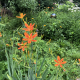 A garden that is part of the 2025 Brick Garden Club Tour. (Photo: Brick Garden Club)