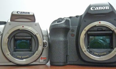 APS-C, CMOS sensors, Canon EOS 350D, Canon EOS 5D Mark II, GFDL, License migration redundant, Self-published work