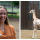 Dr. Erica Jackson and newly born giraffe Mbi. (Photo: Six Flags Great Adventure)