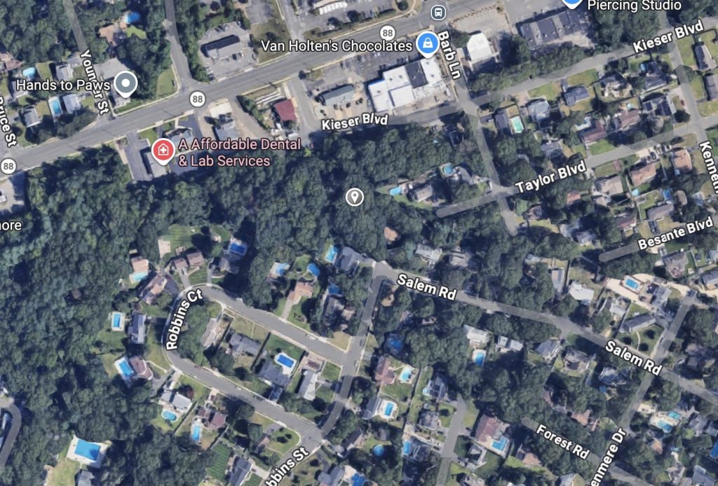 A wooded area near Barb Lane and Taylor Boulevard, Brick, N.J. (Google Earth)
