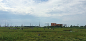 Good Luck Point (USFWS)