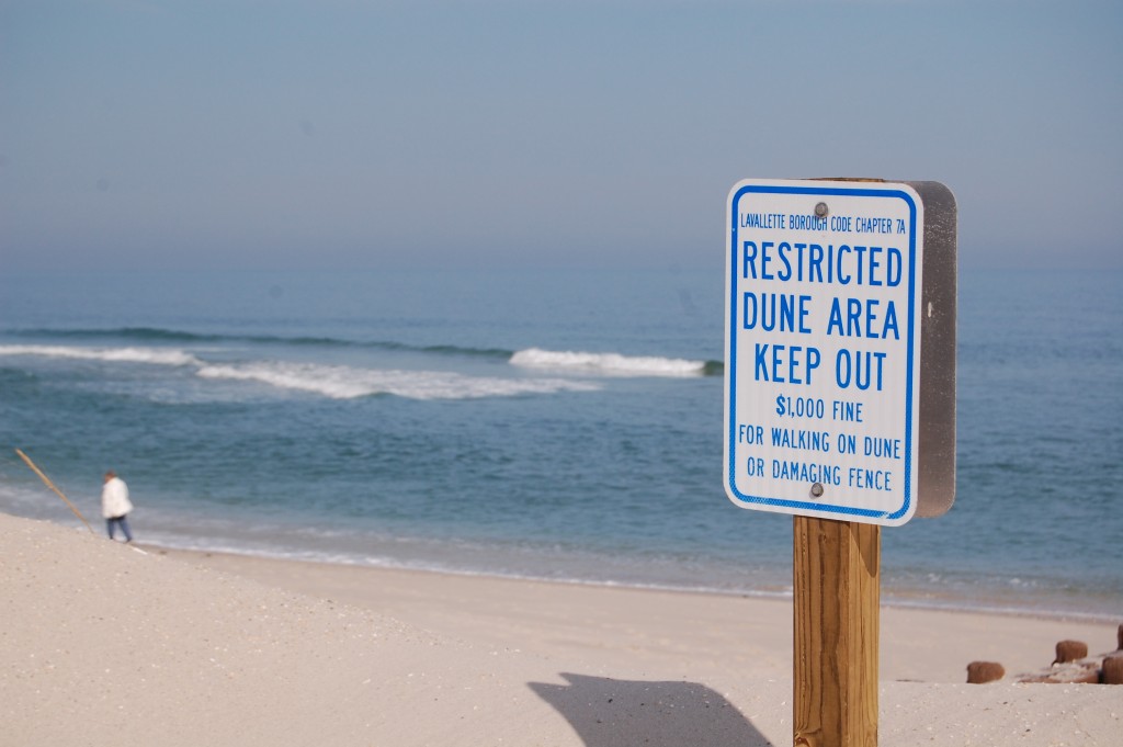 Dunes at Elizabeth Avenue, Lavallette. (Photo: Daniel Nee)