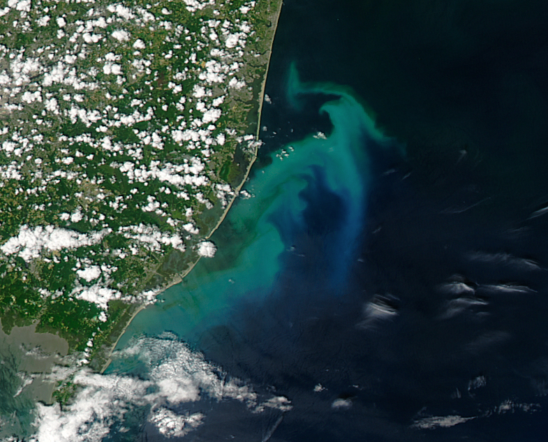 A phytoplankton bloom off N.J., captured from a NASA satellite. (Photo: NASA)