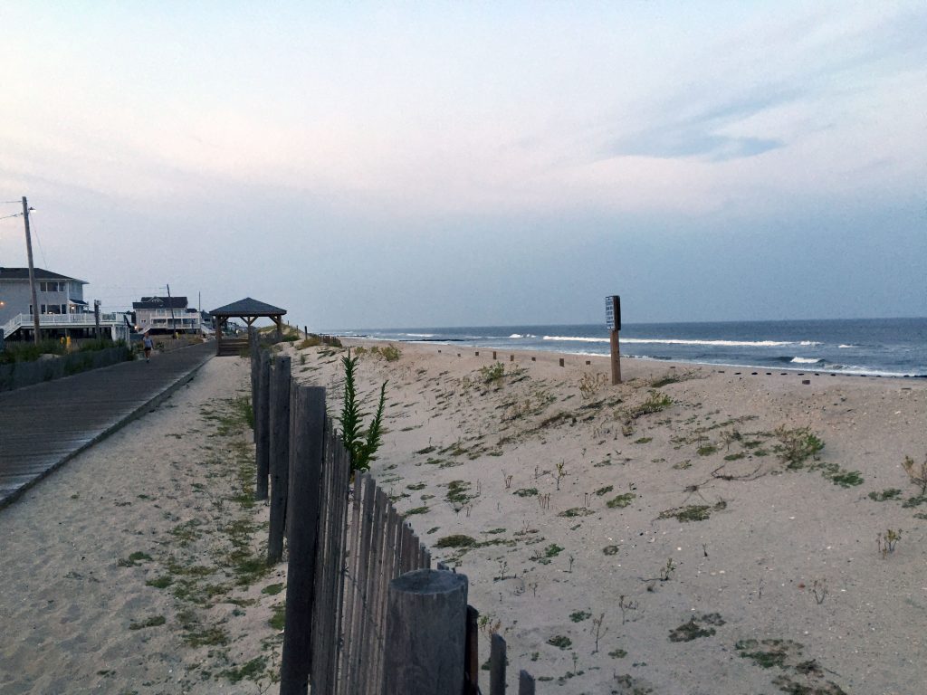 Lavallette's dunes, looking north from Newark Avenue toward Elizabeth Avenue. (Photo: Daniel Nee)