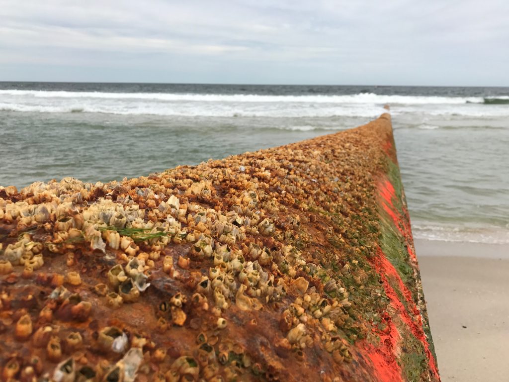 A dredge pipe set up on Ortley Beach, May 11, 2017. (Photo: Daniel Nee)