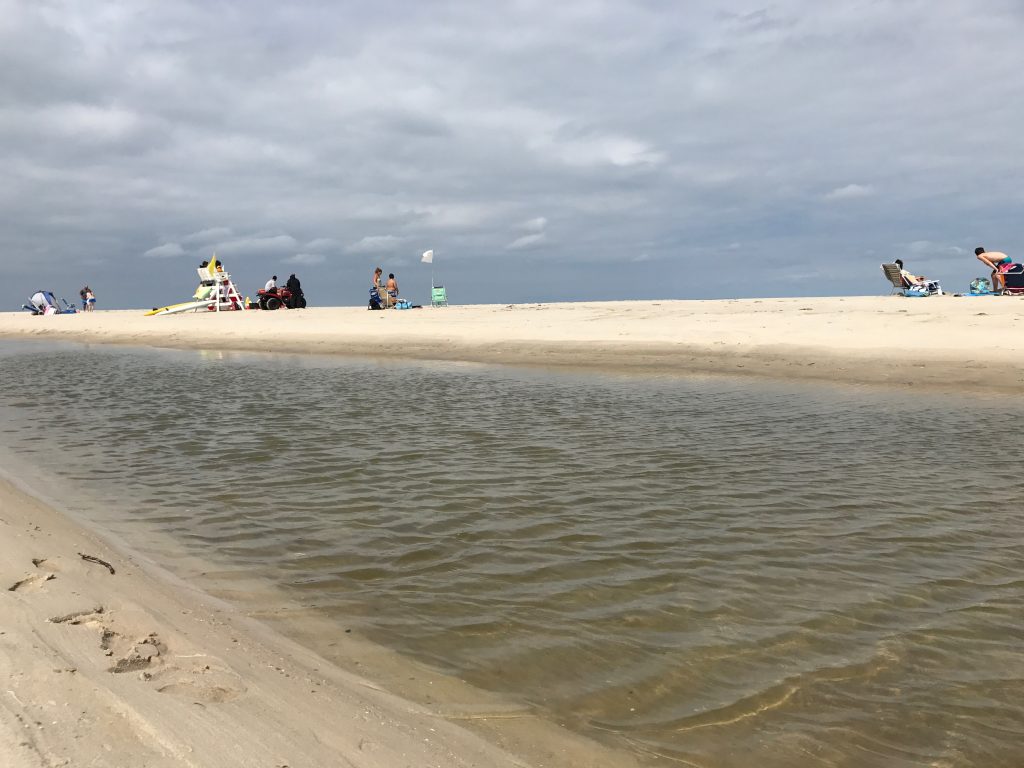 A tidal pool in Lavallette, July 25, 2017. (Photo: Daniel Nee)