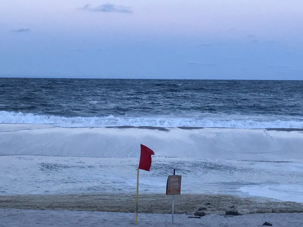 A tidal pool in Lavallette, July 25, 2017. (Photo: Daniel Nee)