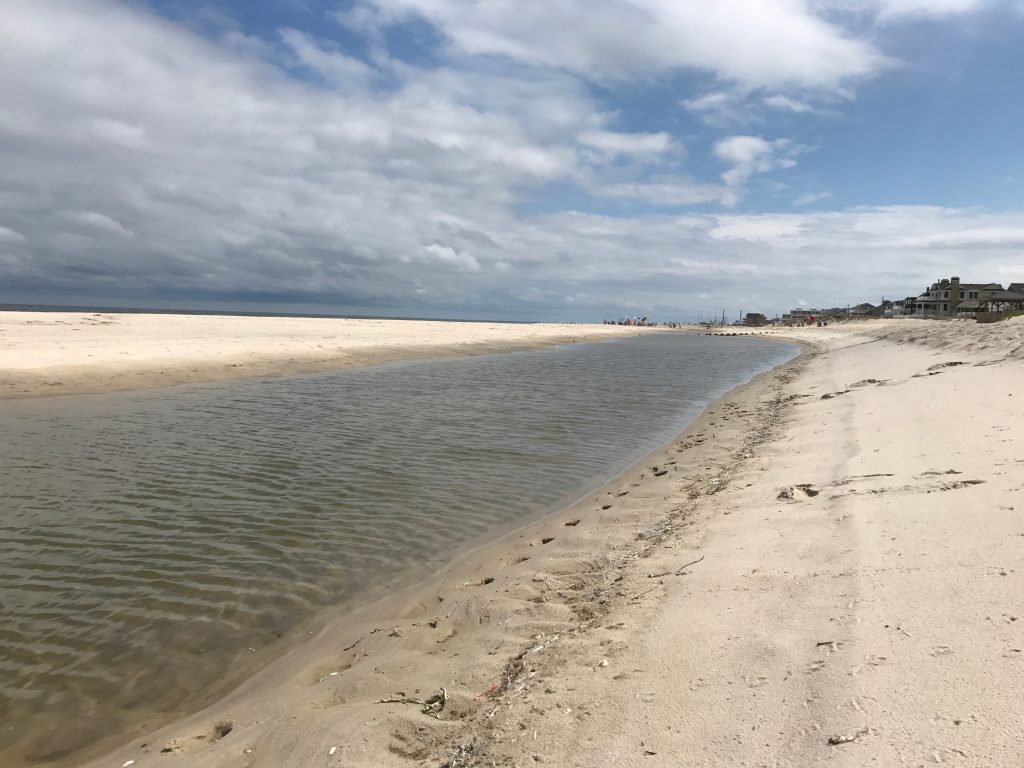 A tidal pool in Lavallette, July 25, 2017. (Photo: Daniel Nee)