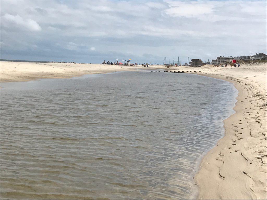 A tidal pool in Lavallette, July 25, 2017. (Photo: Daniel Nee)