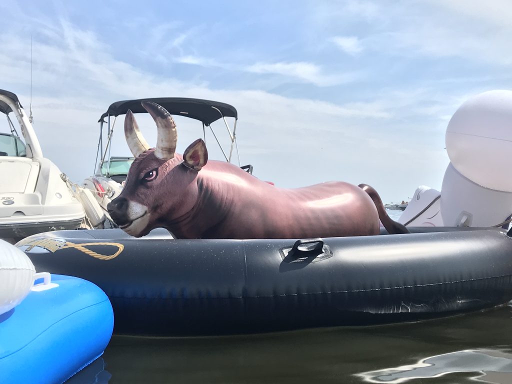 Scenes from Floatchella 2018. (Photo: Daniel Nee)