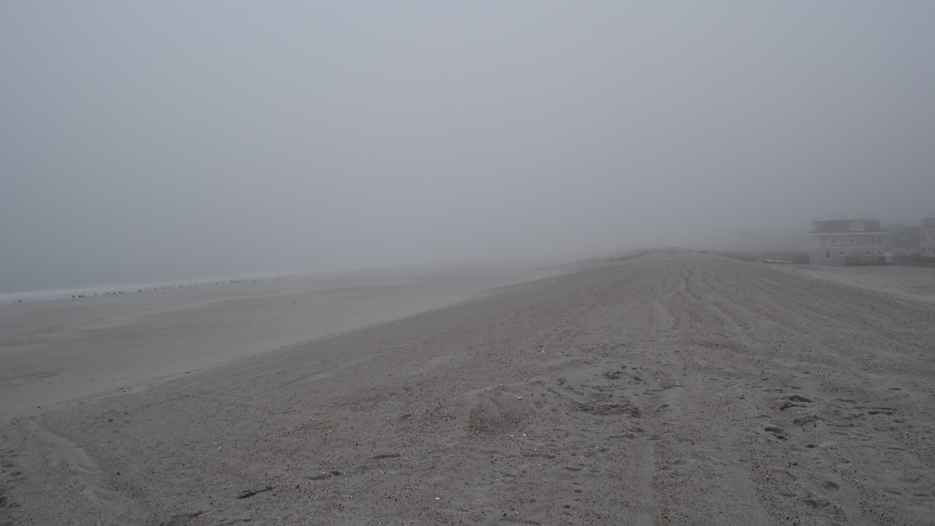 The long dune line in Ortley Beach after the Sept. 10, 2018 coastal storm. (Photo: Daniel Nee)