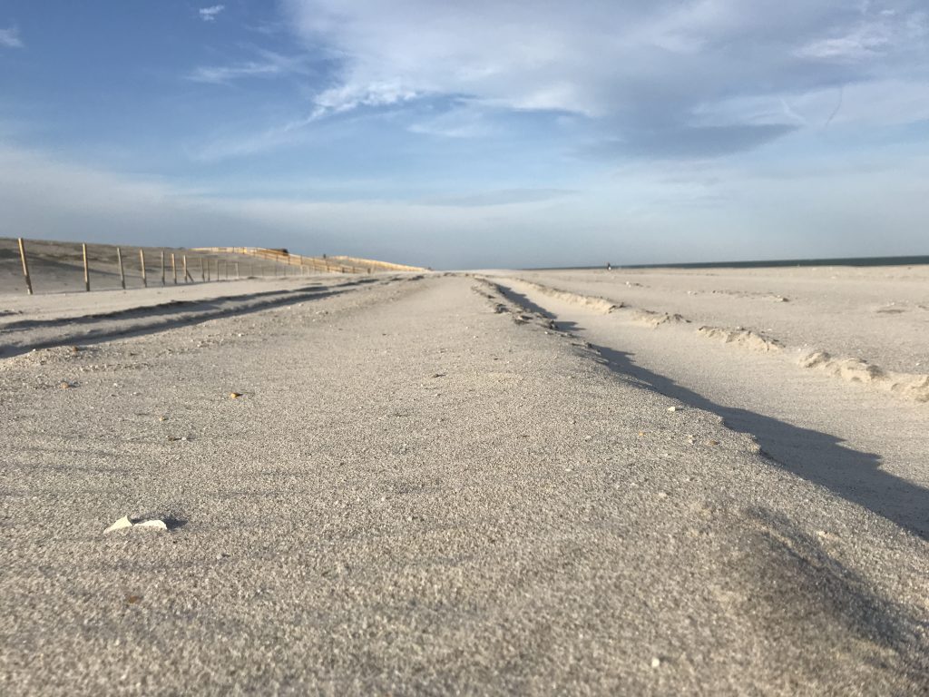 The replenished oceanfront in Ortley Beach following a nor'easter, Oct. 31, 2018. (Photo: Daniel Nee)