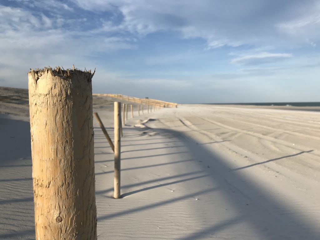 The replenished oceanfront in Ortley Beach following a nor'easter, Oct. 31, 2018. (Photo: Daniel Nee)