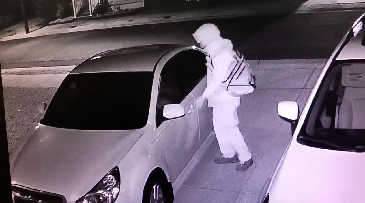 A suspected vehicle burglar in Seaside Park. (Photo: SPPD)