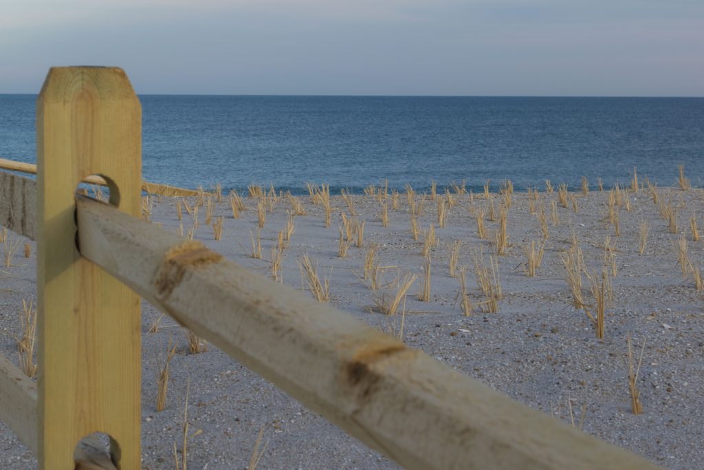 Dune grass plantings and progress on building access on replenished beaches island-wide, Feb. 2019. (Photo: Daniel Nee)