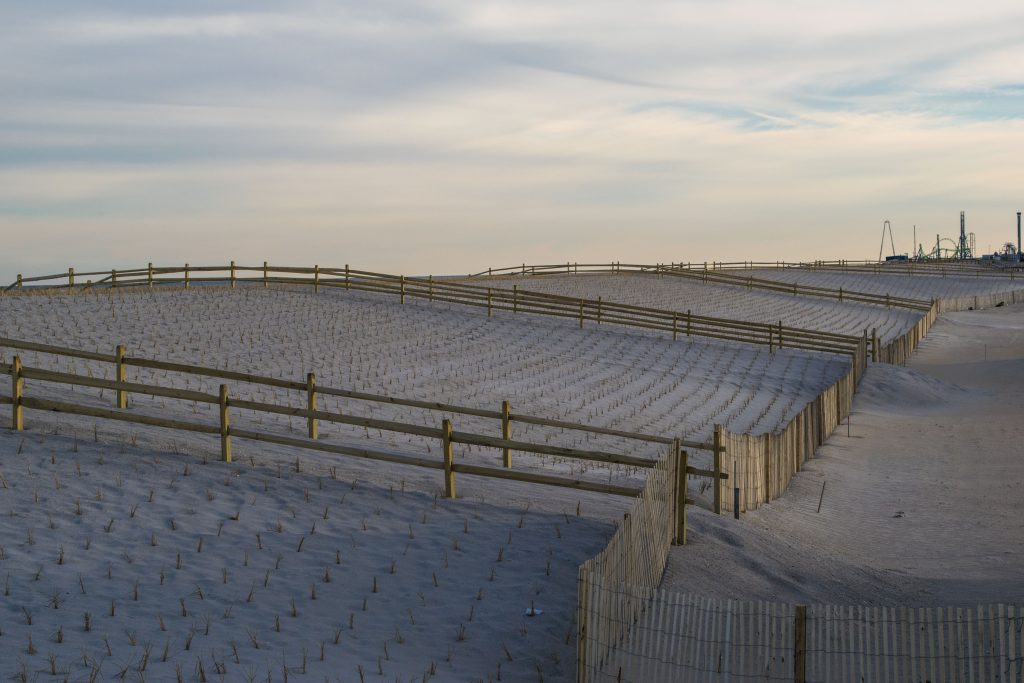 Dune grass plantings and progress on building access on replenished beaches island-wide, Feb. 2019. (Photo: Daniel Nee)