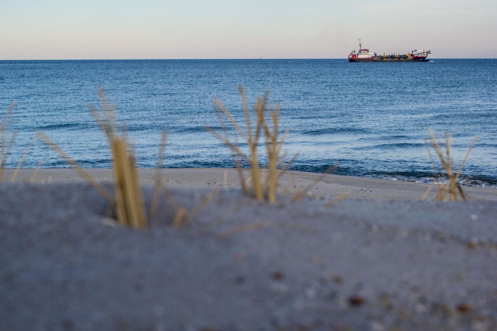 Dune grass plantings and progress on building access on replenished beaches island-wide, Feb. 2019. (Photo: Daniel Nee)