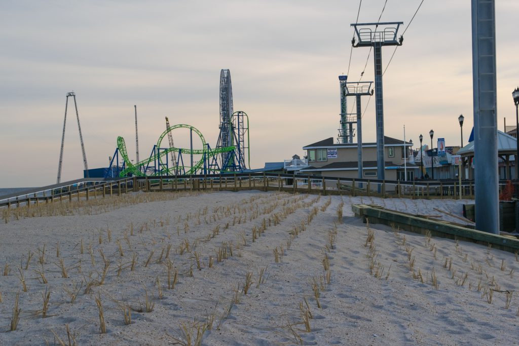 Dune grass plantings and progress on building access on replenished beaches island-wide, Feb. 2019. (Photo: Daniel Nee)