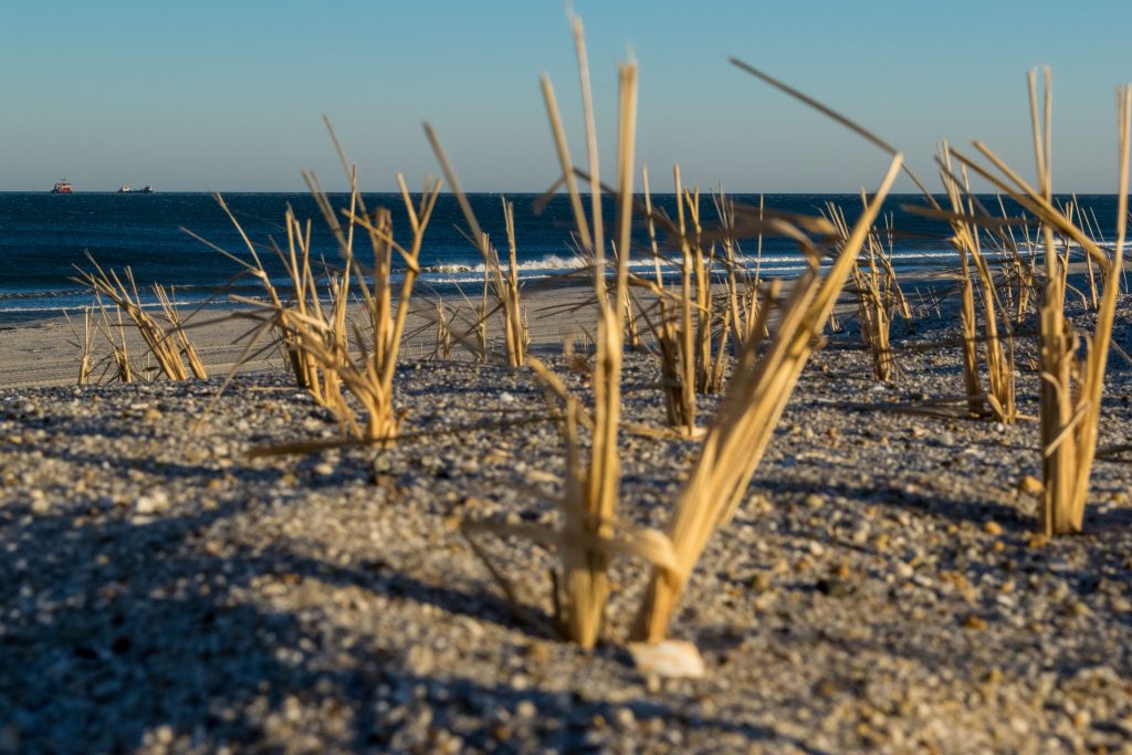 Winds whip up the Jersey Shore, Feb. 25, 2019. (Photo: Daniel Nee)
