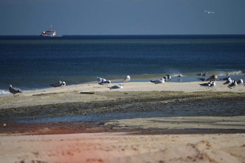 Beach replenishment begins in Point Pleasant Beach, NJ, April 10, 2019. (Photo: Daniel Nee)